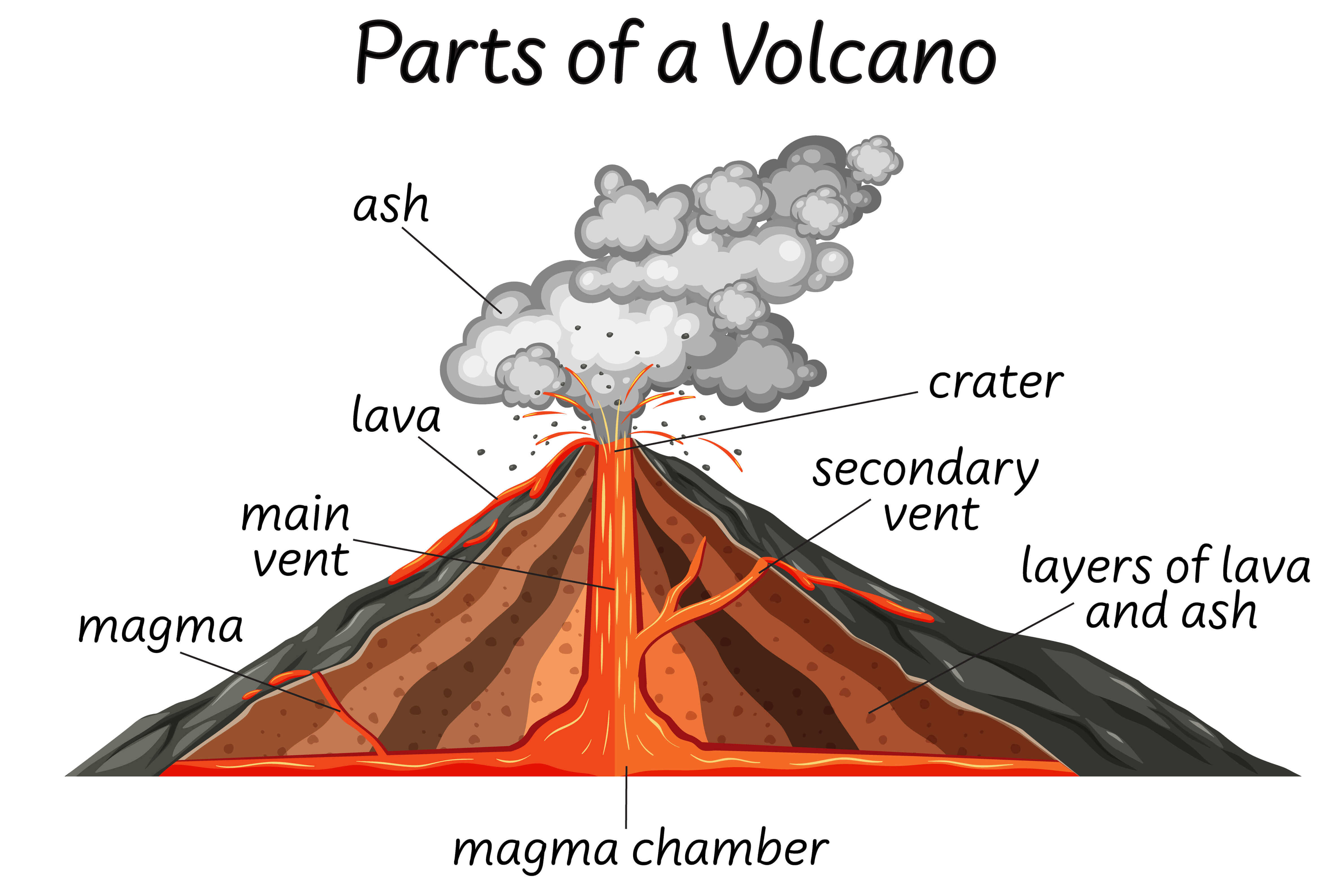 Illustration of the different parts of a volcano.